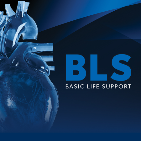 AHA BLS Basic Life Support course